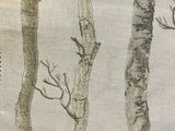 Ivory Bark Tree